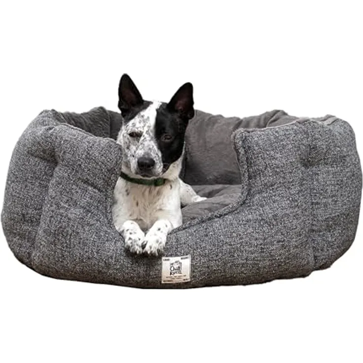 Beeztees Nano Hundebett Chill Kuzzi, Hundebett mit Ferninfrarot-Wellenenergie, gepolstert und waschbar, Grau, 58 x 58 x 30 cm