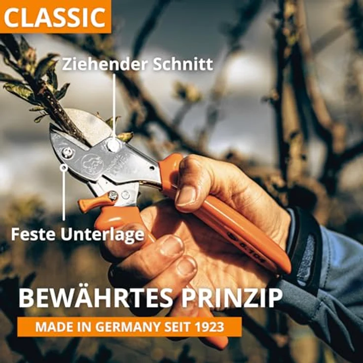 Original Löwe 5 Profi Amboss Gartenschere 5.104 mit rostfreier und antihaftbeschichteter Stahlklinge - handliche und kleine Ambossschere ideal zum Schneiden von Obstbaum Apfelbaum Kirschbaum Links- und Rechtshänder klein und mittelgroß – Bild 9