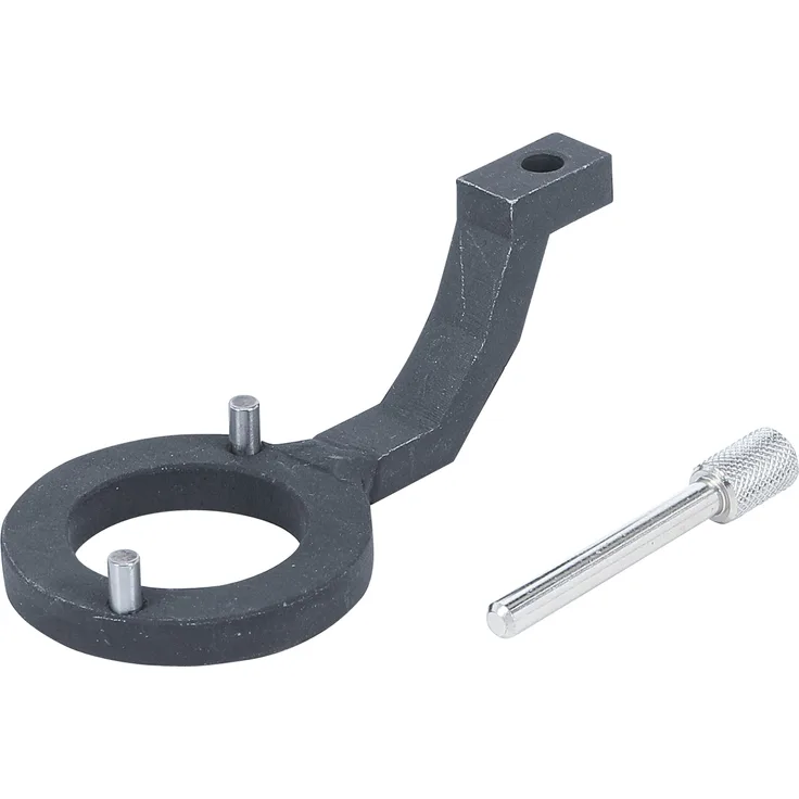 BGS technic Diesel-Hochdruckpumpen-Kettenrad-Arretierwerkzeug für Jaguar, Land Rover