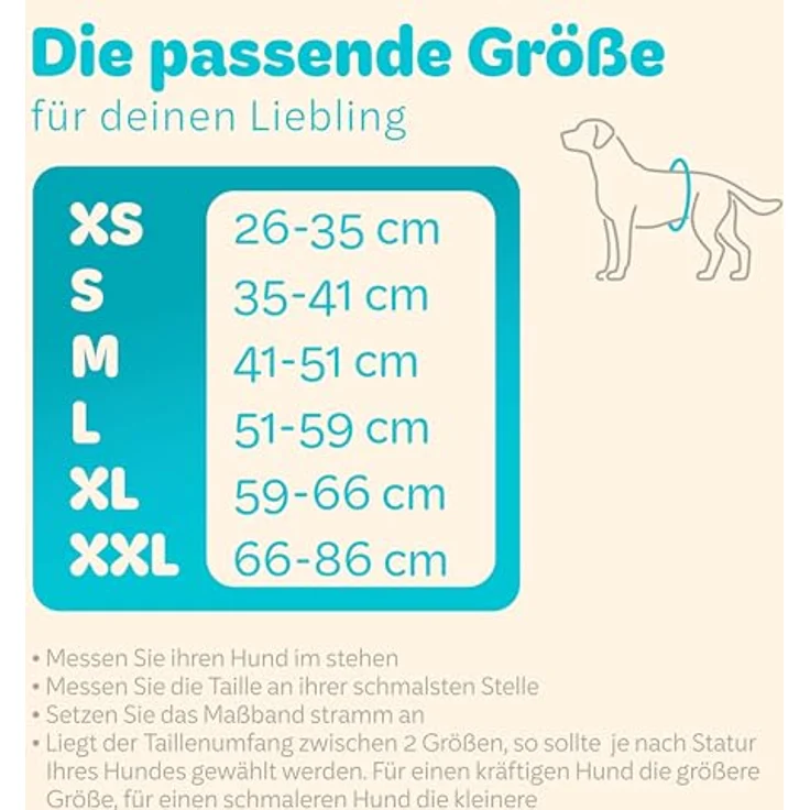 HUND IST KÖNIG® Hundewindeln für Rüden [3 STK] Saugstarke Hundewindeln Rüde | Bequeme Hunde Windeln bei Inkontinenz Hund - Umweltfreundliche Rüdenwindel waschbar | Hundewindel leicht zu reinigen – Bild 5