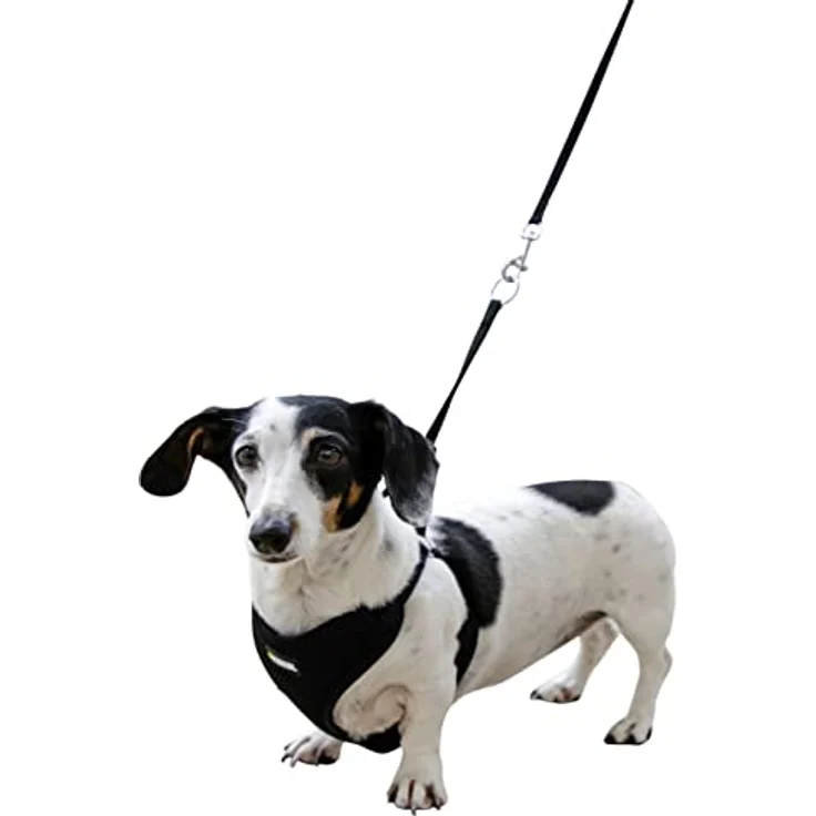 Welpengeschirr mit Leine, schwarz, 30 - 50 cm/10 mm – Bild 2