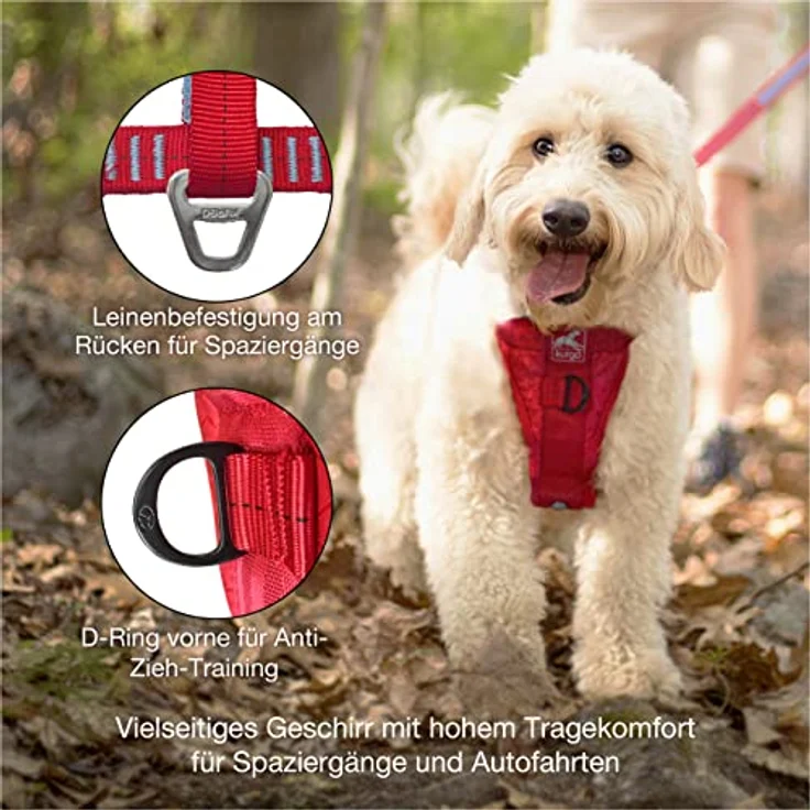 Kurgo Autogurt (XS, Hund), Halsband + Leine – Bild 4