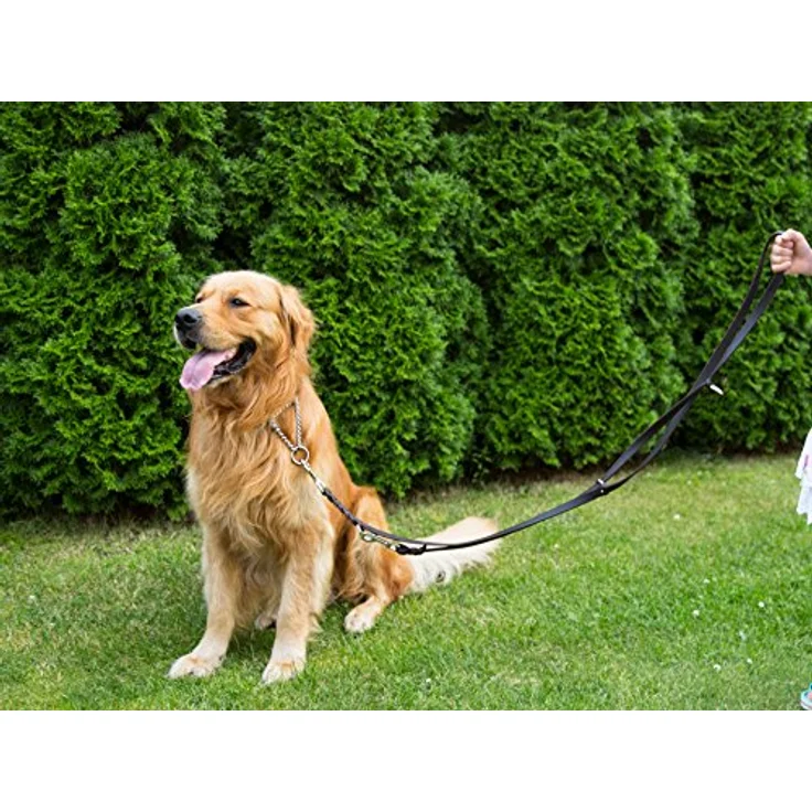CopcoPet Fettlederleine für Hunde - 3-Fach verstellbare Hundeleine aus weichem Leder - 100% Handmade in Germany - Blau – Bild 5