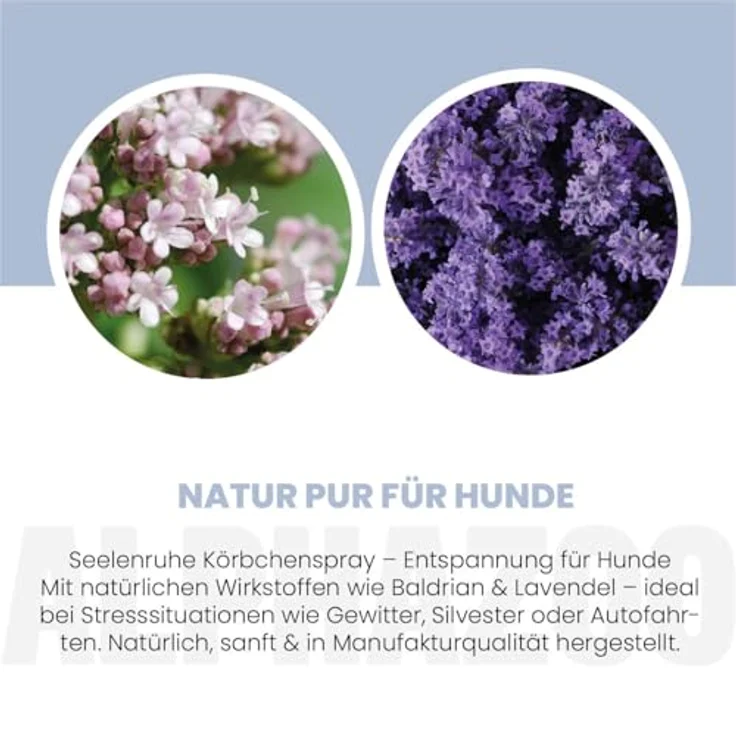 ALPHAZOO Seelenruhe Körbchenspray für Hunde, 250 ml, Natürliches Anti-Stress Beruhigungsmittel mit Baldrian – Bild 4