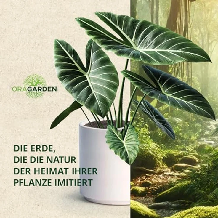OraGarden Aroiden Erde Blumenerde für Monstera, Philodendron Premium Qualität (12L) – Bild 8