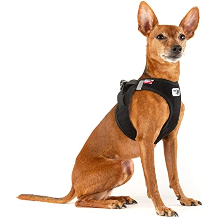 Curli Vest Harness Clasp Cord Black 2XS - Hundegeschirr mit ergonomischer Passform und reflektierenden Streifen – Bild 4