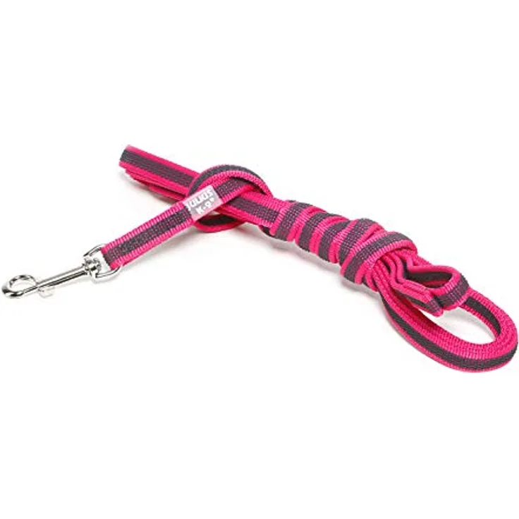 JULIUS K-9 IDC Color & Gray gumierte Leine, 14 mm x 3 m mit Schlaufe, strapazierfähiger Textilstoff und verstärkter Haltegriff, Pink-Grau
