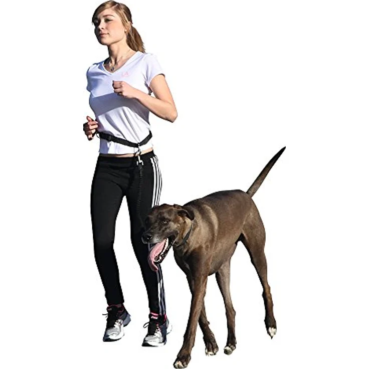 Kerbl 81181 Joggingleine Active mit Hüftgurt – Bild 2