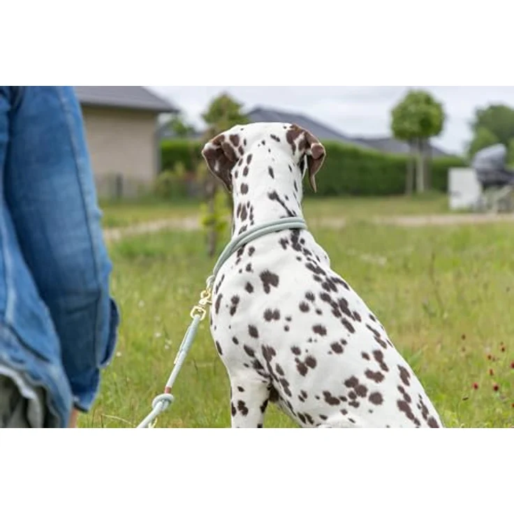 TRIXIE Soft Rope Hundeleine XS-S 1,2 m/6 mm, Salbei - robuste Leine aus Tau mit Trigger Snap Hook, ergonomischer Handschlaufe für kleine Hunde – Bild 4