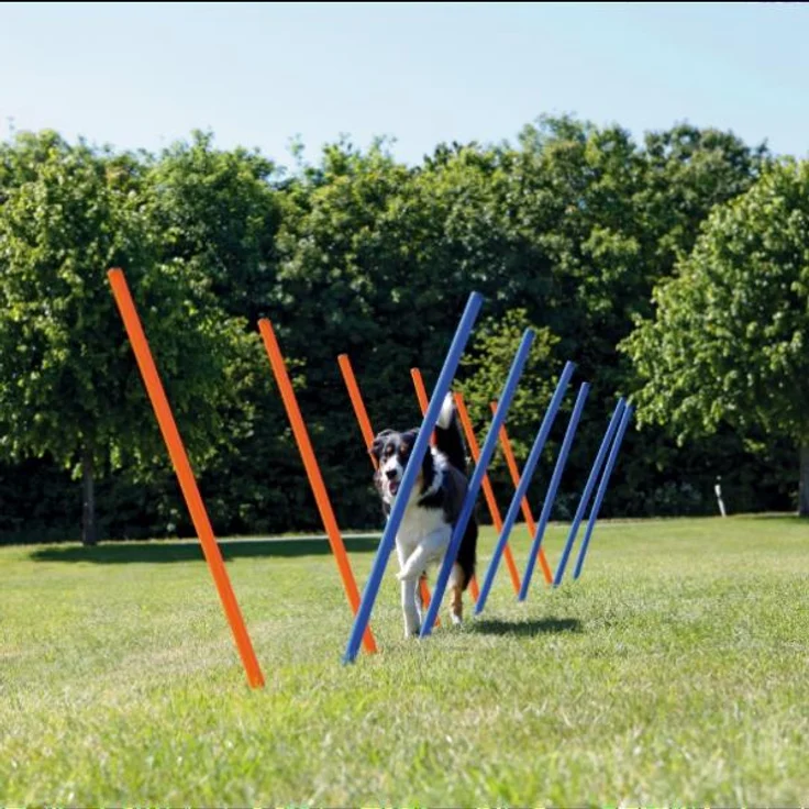 Trixie Dog Activity Agility Slalom, Kunststoff 115xø 3 cm, 12 St. blau-orange – Bild 1