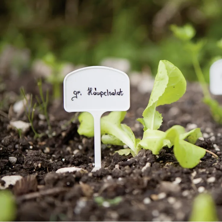 Windhager Pflanzenschilder T-Form 6 x 15 cm, 7 Stück