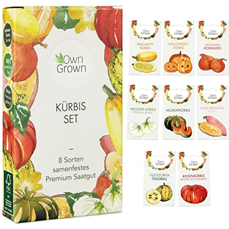 Kürbis Samen Set 8 Sorten Kürbis Saatgut Für Die Anzucht Von Kürbis Pflanzen Im