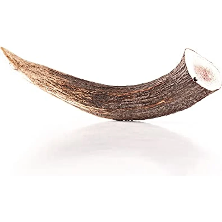 mascota vital - Hirschgeweih - 100% Hirschgeweih - Ideal für die Zahnpflege - 100% Natürlich - Geweih - Kauknochen - Hundespielzeug - Geweih vom Rothirsch (XXL (160-250g), ganz) – Bild 1