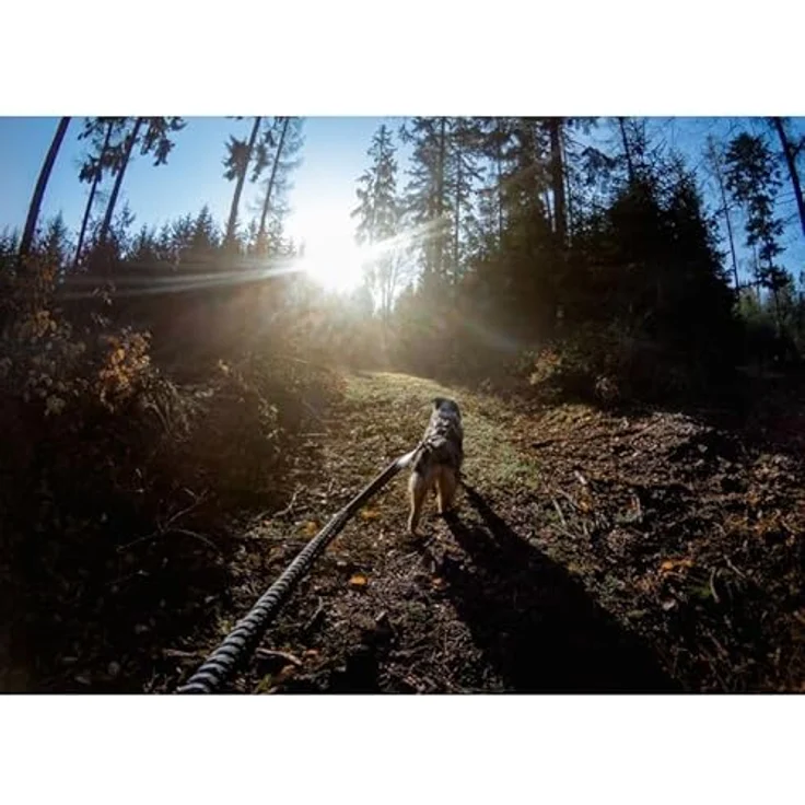 Non-stop dogwear Hundeleine Bungee Touring Leash 2m/23mm, reflektierend, ideal für Spaziergänge und Aktivitäten – Bild 6