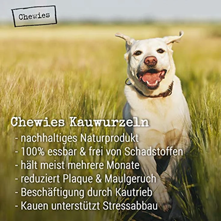 Chewies Kauwurzel für Hunde aus Baumheide Wurzel - 100 % natürliches Hunde-Spielzeug risikoarm & langlebig: Für Hunde bis 10 kg Körpergewicht, S (1er Pack) - Preisvergleich – Bild 3