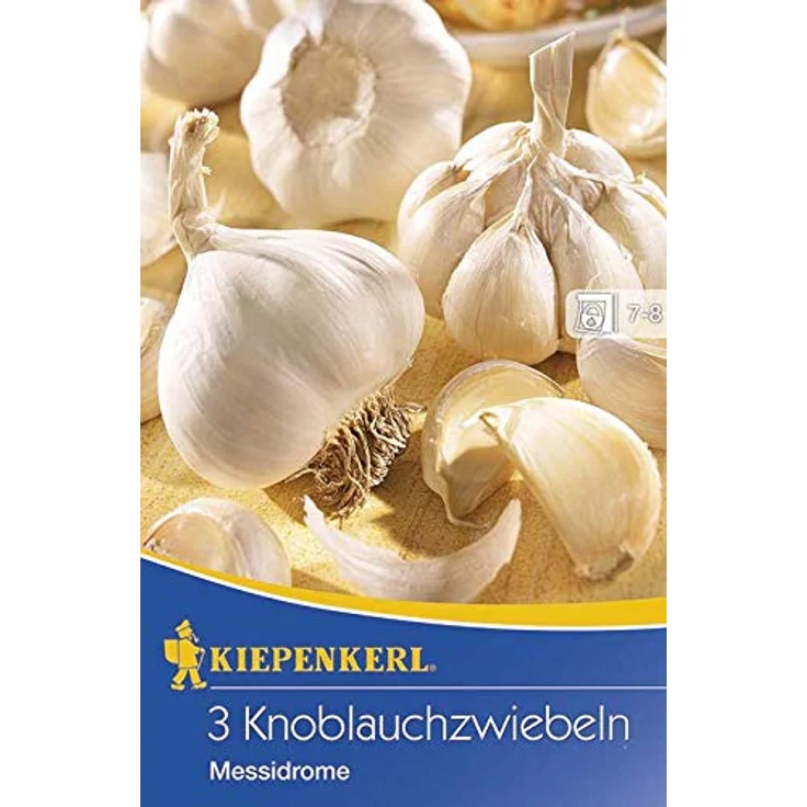 Kiepenkerl Knoblauch Messidrome, Allium sativum, Inhalt: 3 Stück – Bild 2