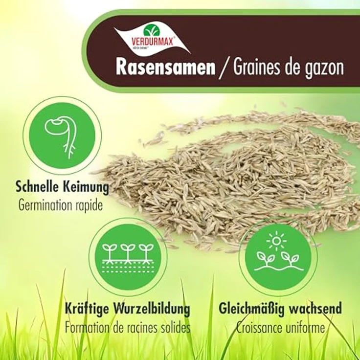 Höfer Chemie 1 kg Rasensamen, RSM-Premium-Mischung mit Lolium perenne PYRUS, BOKSER & ESQUIRE, trockenresistent & schnellkeimend – Bild 3