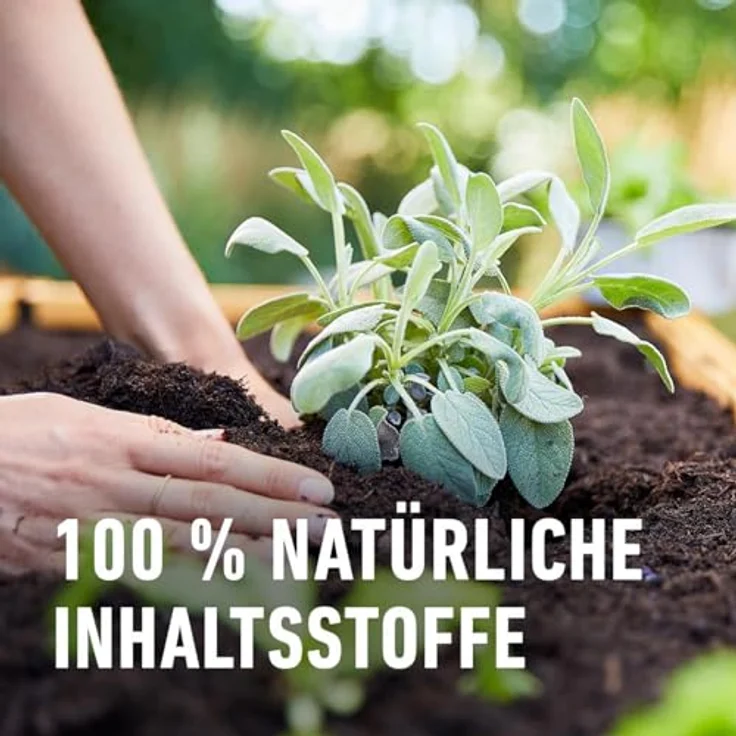 COMPO BIO Mini-Hochbeeterde, torffreie Blumenerde für Mini-Hochbeete, 20 L, Braun, Nährstoffversorgung mit hohem Humusanteil – Bild 4