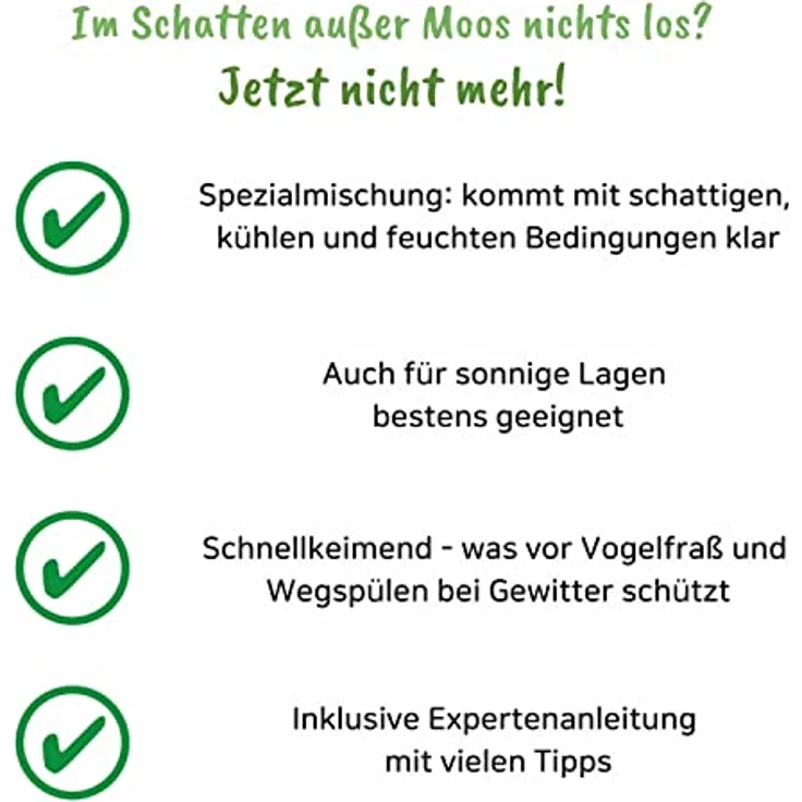 halmland Schattenrasen Samen, schnellkeimend für schattige Flächen, 2,5 kg (70 m²), inklusive Aussaatanleitung, sehr gut getestet – Bild 4