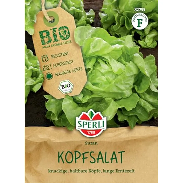 Sperli Kopfsalat BIO
