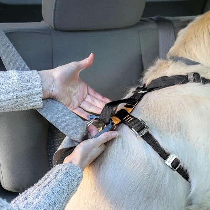 Kurgo Autogurt (XS, Hund), Halsband + Leine – Bild 9