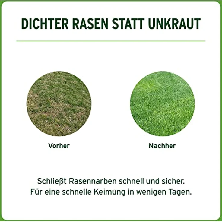 Substral Sport & Spiel 5 kg - Preisvergleich – Bild 5