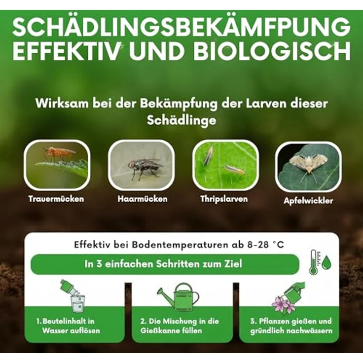 Samenshop24 SF Nematoden zur Bekämpfung von Trauermücken 10 Mio biologische Schädlingsbekämpfung – Bild 3