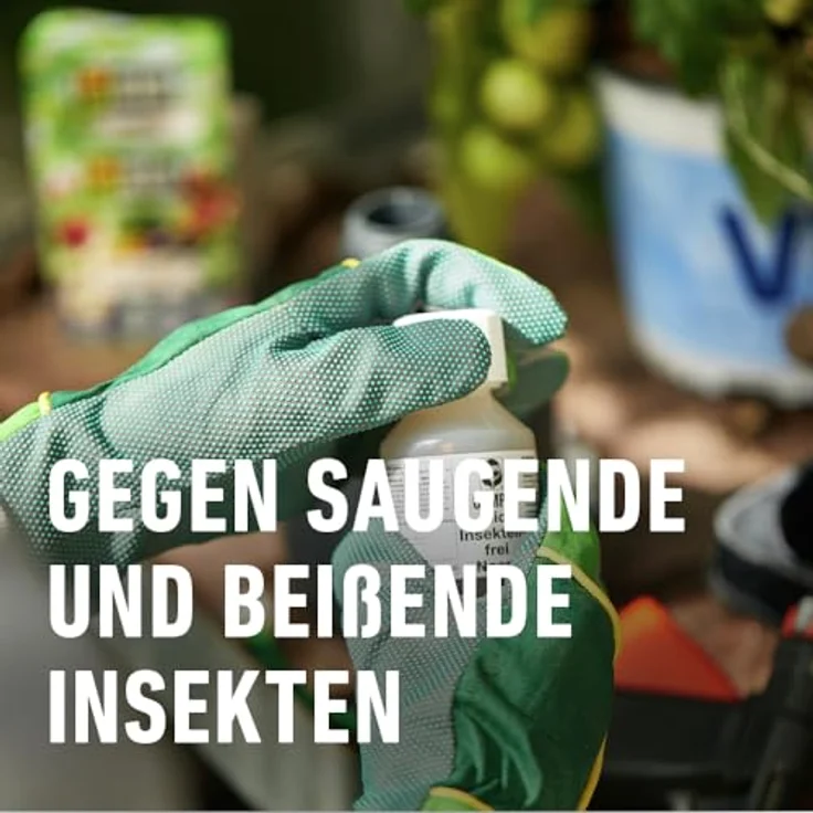 COMPO BIO Insekten-frei Neem 75 ml Bekämpfung von Schädlingen (u.a. Buchsbaumzünsler) an Zierpflanzen, Kartoffeln, Gemüse und Kräutern – Bild 5