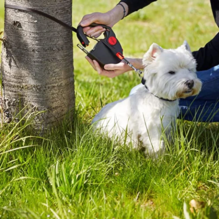 Dogxi Hundeleine Rollleine 5m 25kg Griff aufklappbar Gurtzunge im Auto befestigen kleine mittelgroße Hunde schwarz mit Karabiner Leine 11mm breit ausziehbar verstellbar einziehbar – Bild 3