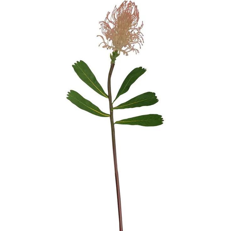 "NTK-Collection Kunstblume Königsprotea Zuckerbusch, 74 cm, naturgetreue Kunstpflanze - Kunstblume Dekoration"
