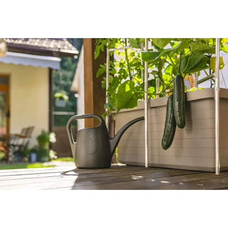 Plastia Gartengießkanne mit dem Brausekopf, 2 Liter - Gießkanne aus Hochwertigem Kunststoff - Handliche Giesskanne für Innen- und Außenbereich - Ideal für Bewässerung für Zimmerpflanzen, Grün – Bild 3
