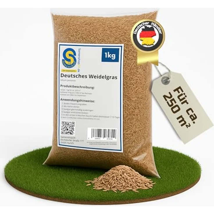 Samenshop24 Deutsches Weidelgras lolium perenne 1kg – Bild 2