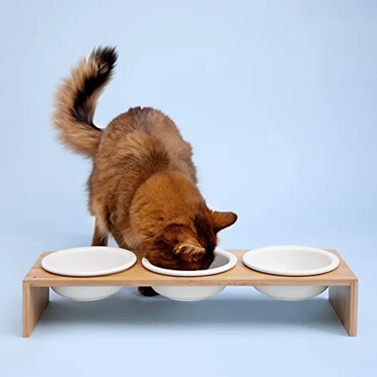 Navaris Futternapf Katze mit Bambus Halter - Futterstation Set Keramiknapf für Katzen Hunde - Keramik Fressnapf Set Futterbar mit Holz Halterung – Bild 2