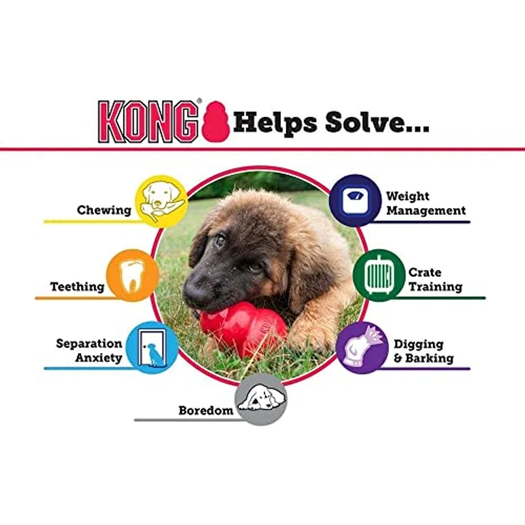 Kong Classic Medium – Bild 5
