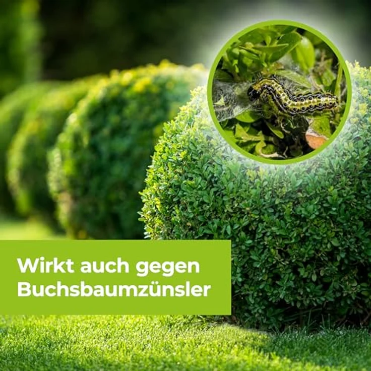 Bayer Garten Universal-Raupenfrei Lizetan 9 ml – Bild 5