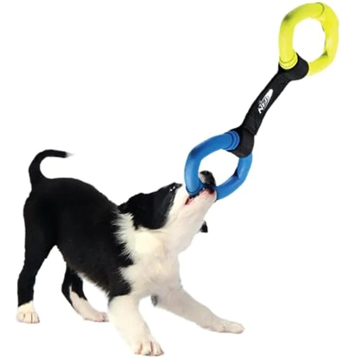 Nerf Dog 2 Ring Strap Tug, mehrfarbiges Ziehspielzeug für Hunde, hochwertiges Tierspielzeug von Hasbro – Bild 3
