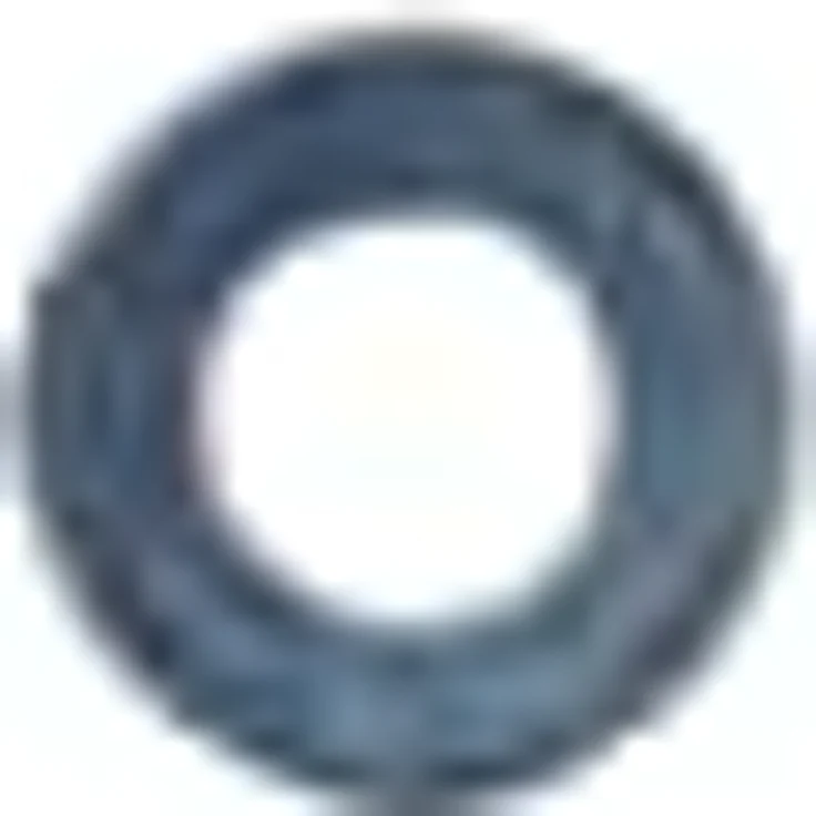 Bosch Accessories Bosch Professional Reduzierring für Kreissägeblätter (Reduzierung von 20 auf 10 mm, Dicke 0,8 mm, Zubehör Kreissäge) – Bild 2