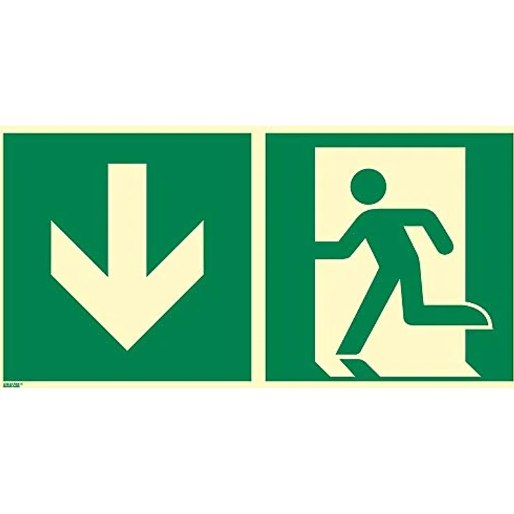 Notausgang abwärts, Aluminium, langnachleuchtend, 300 x 150 mm gemäß ASR A1.3 / ISO 7010 E001, Rettungszeichen Schild, 30 x 15 cm – Bild 1
