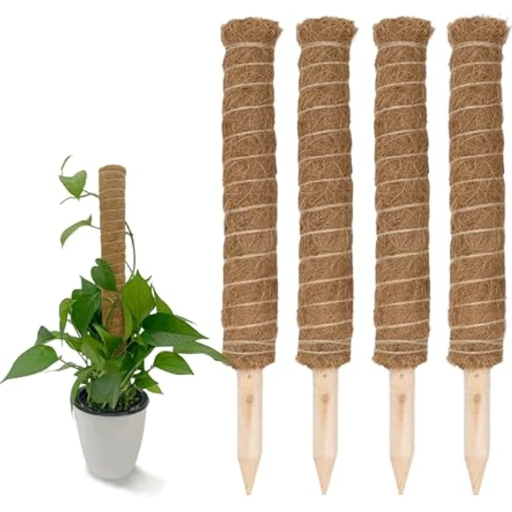 Kokos Rankstab 40 cm Natur - 4 Stück - Pflanzstab für Zimmerpflanzen – Blumen Pflanz Stab Topf Rankhilfe Kletterhilfe Kokosstange für Kletterpflanzen – Bild 1