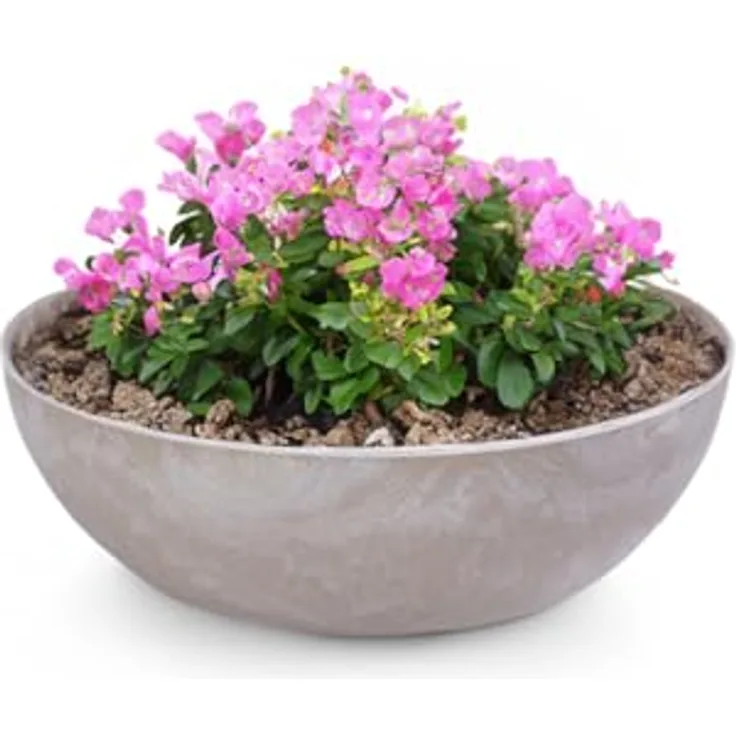 matches21 Pflanzschale für draußen - Dekoschale Sand grau marmoriert als Blumentopf Pflanztopf - Schale in 20 x 7,5 cm für Garten, Balkon oder Friedhof als Grab-Schmuck