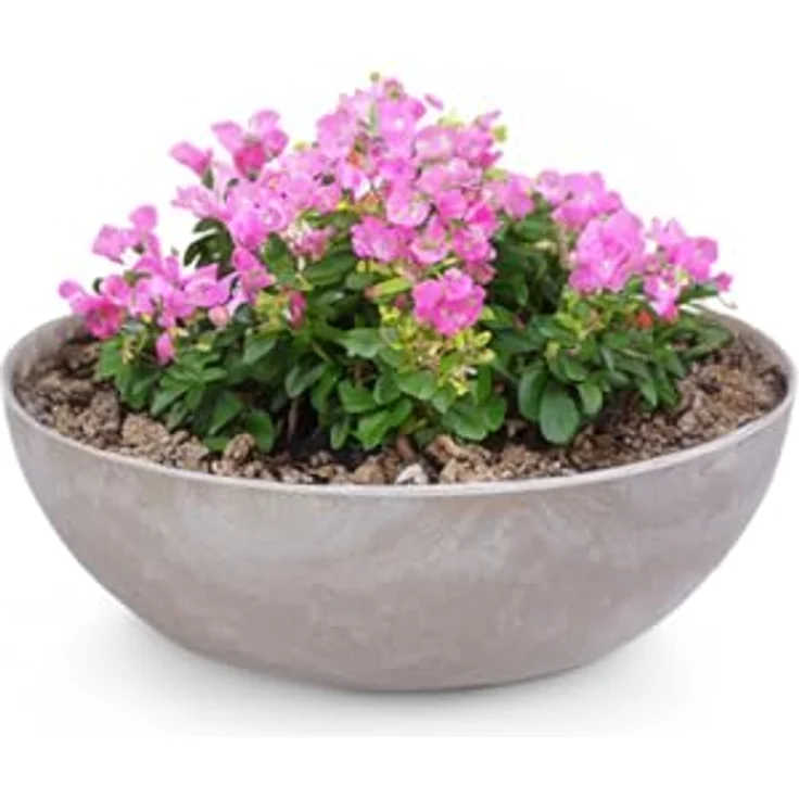 matches21 Pflanzschale für draußen - Dekoschale Sand grau marmoriert als Blumentopf Pflanztopf - Schale in 20 x 7,5 cm für Garten, Balkon oder Friedhof als Grab-Schmuck – Bild 1
