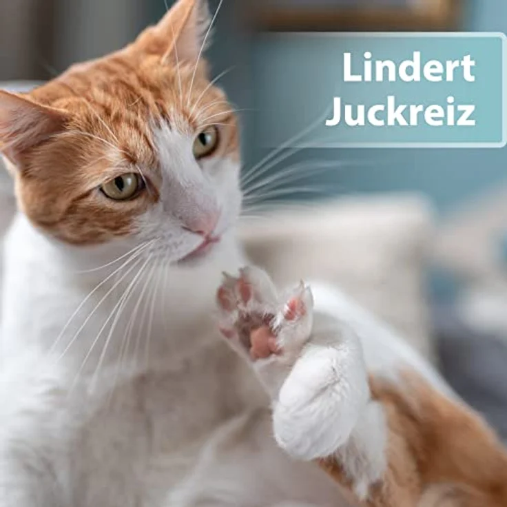 Felisept Hautpflegespray für Katzen, 250ml, regeneriert und pflegt bei Juckreiz und Hautreizungen, von Tierärzten empfohlen – Bild 2
