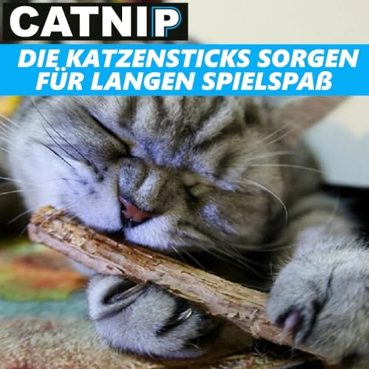 MAVURA Catnip Matatabi Kauhölzer 20 Sticks Katzen Holz Katzenminze, Dental Care Zähne Katzensticks – Bild 3