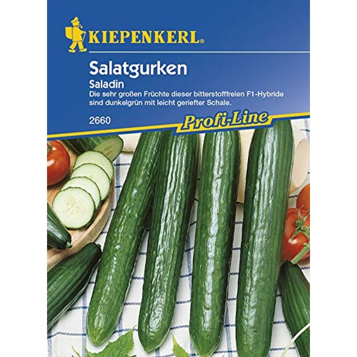 Kiepenkerl Salatgurken Gewächshaus Schlangengurke Saladin – Bild 2