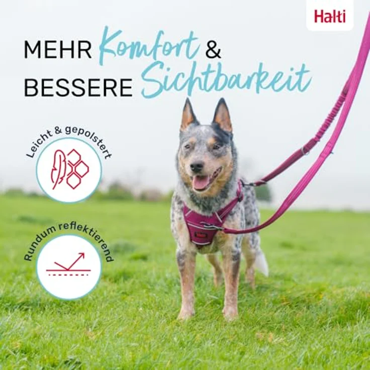 Company of Animals HALTI Anatomy Multifunktionsleine mit Ruckdämpfer, Doppelführleine für Welpen bis 25 kg, reflektierend, Größe S, Magenta – Bild 4