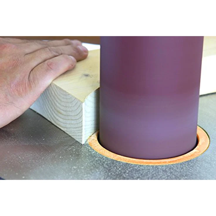 Wen oszillierendes Spindel Schleifhülsen Combo, 6510SPC 420 wattsW, 120 voltsV – Bild 3