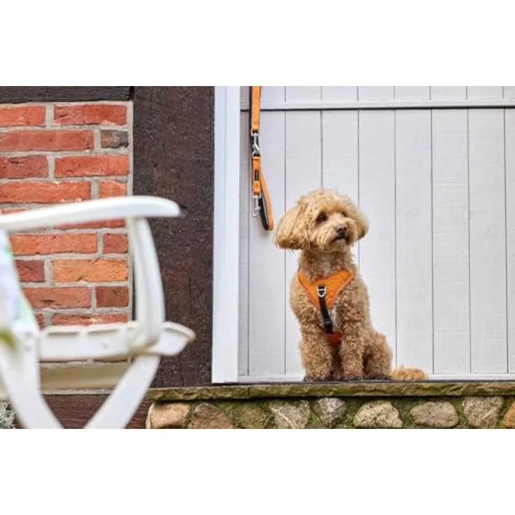 Wolters Active Pro Comfort Hundegeschirr, orange/anthrazit, waschbar, atmungsaktiv, reflektierende Nähte, individuell anpassbar – Bild 3