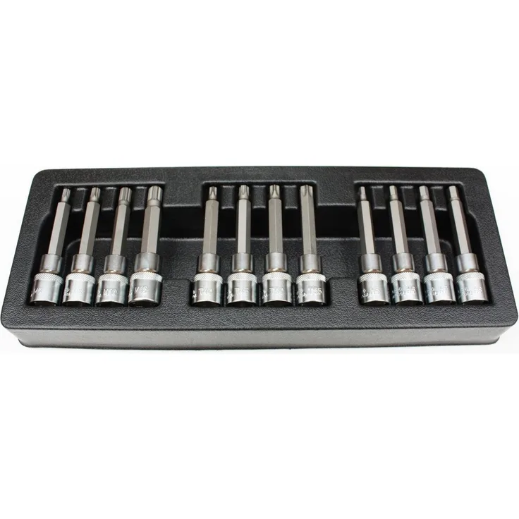 Boni-Shop 12-teiliges Bit-Set, Stecknuss Set aus S2 Werkzeugstahl, H5-H8, T40-T55, M6-M12, Industriequalität