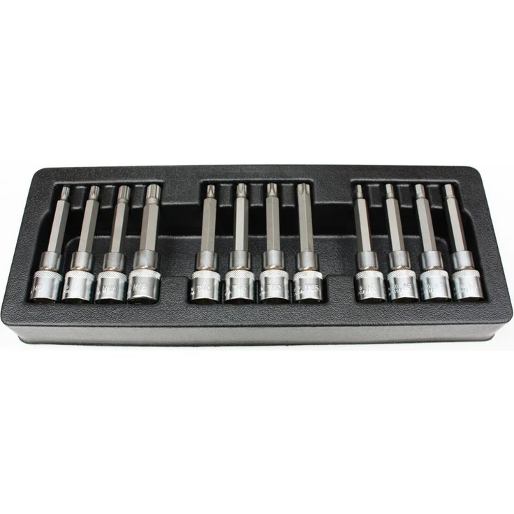 Boni-Shop 12-teiliges Bit-Set, Stecknuss Set aus S2 Werkzeugstahl, H5-H8, T40-T55, M6-M12, Industriequalität