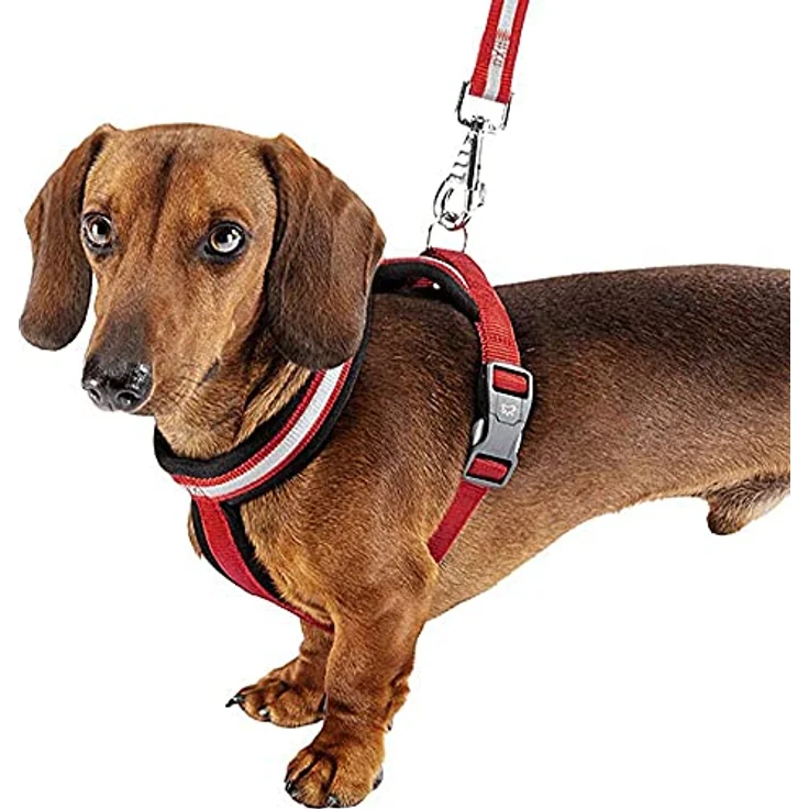 Ferplast Daytona Cross, kleines Hundegeschirr aus Nylon mit weicher Polsterung, reflektierend, verstellbar und Magnetschnalle, blau – Bild 2